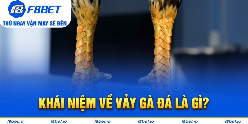 Vảy Gà Thới Hoa Đăng - Bí Kíp Lựa Chiến Kê Tốt F8bet - PLAYVANTA96.WORK