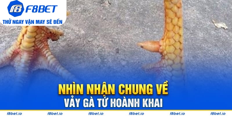 Vảy Gà Tứ Hoành Khai Và Những Điều Cần Biết 2026 - PLAYVANTA96.WORK