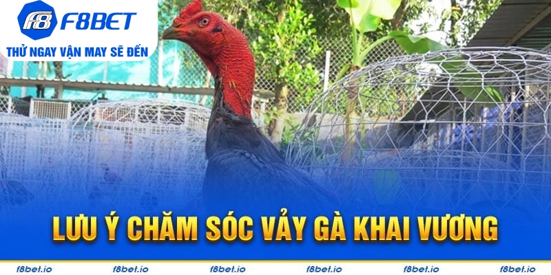 Bật Mí Vảy Gà Khai Vương Và Cách Nhận Biết Chúng Ra Sao?  - PLAYVANTA96.WORK