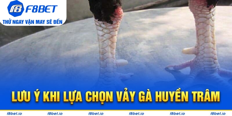 Vảy Gà Huyền Trâm – Cách Xem Cực Chuẩn Cho Người Mới - PLAYVANTA96.WORK