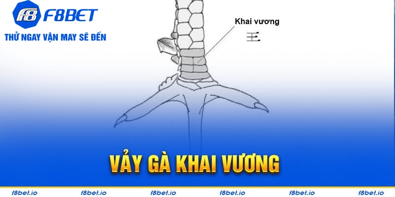 Bật Mí Vảy Gà Khai Vương Và Cách Nhận Biết Chúng Ra Sao?  - PLAYVANTA96.WORK