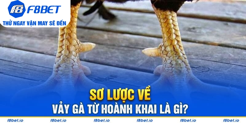 Vảy Gà Tứ Hoành Khai Và Những Điều Cần Biết 2026 - PLAYVANTA96.WORK