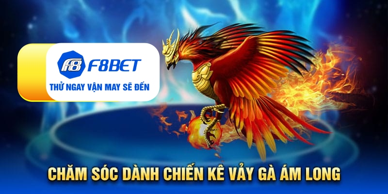 Vảy gà ám long - Đặc điểm nhận biết linh kê quý hiếm - PLAYVANTA96.WORK