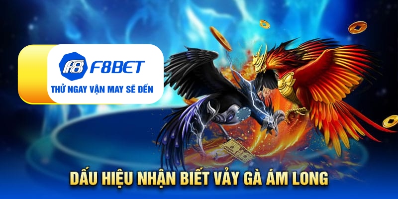 Vảy gà ám long - Đặc điểm nhận biết linh kê quý hiếm - PLAYVANTA96.WORK