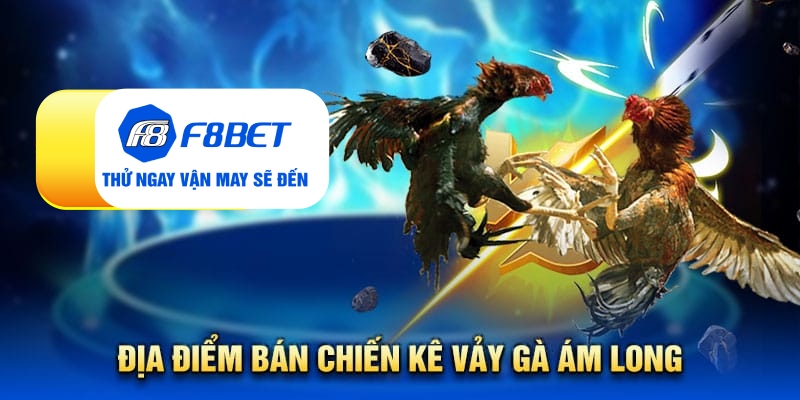 Vảy gà ám long - Đặc điểm nhận biết linh kê quý hiếm - PLAYVANTA96.WORK