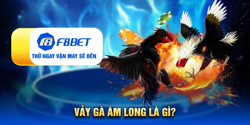 Vảy gà ám long - Đặc điểm nhận biết linh kê quý hiếm - PLAYVANTA96.WORK