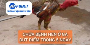 Đá Gà F8bet | Sảnh Cược Gà Đá Uy Tín Cho Các Kê Thủ - PLAYVANTA96.WORK