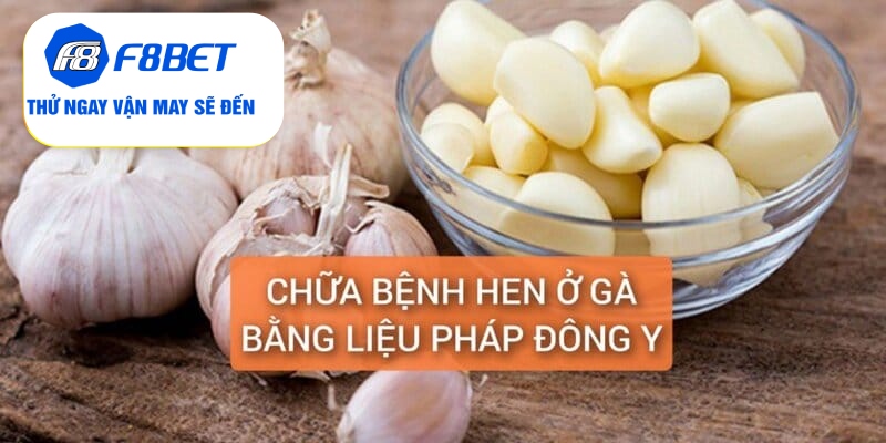 Chữa Bệnh Hen Ở Gà Điều Trị Dứt Điểm Trong 5 Ngày - f8bet - PLAYVANTA96.WORK