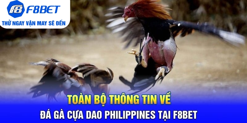 Toàn Bộ Thông Tin Về Đá Gà Cựa Dao Philippines Tại F8BET - PLAYVANTA96.WORK
