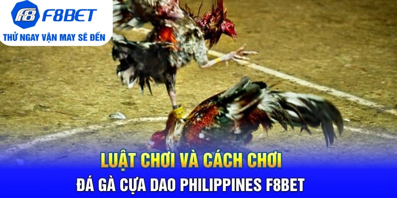 Toàn Bộ Thông Tin Về Đá Gà Cựa Dao Philippines Tại F8BET - PLAYVANTA96.WORK
