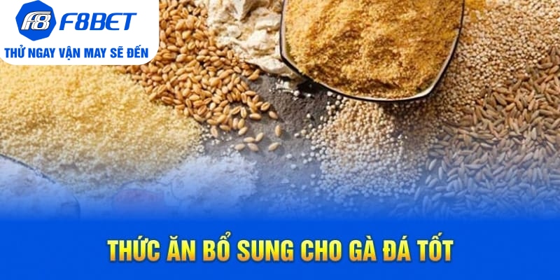 Top 7 Loại Thức Ăn Cho Gà Đá Chất Lượng Trên Thị Trường - PLAYVANTA96.WORK