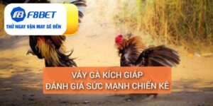 Đá Gà F8bet | Sảnh Cược Gà Đá Uy Tín Cho Các Kê Thủ - PLAYVANTA96.WORK