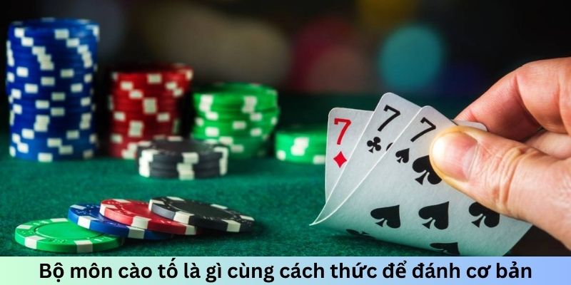 Cách Chơi Bài Tố Ba Lá - Chinh Phục Game Bài Hấp Dẫn 2026 - PLAYVANTA96.WORK