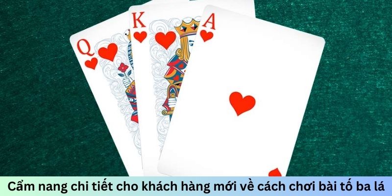 Cách Chơi Bài Tố Ba Lá - Chinh Phục Game Bài Hấp Dẫn 2026 - PLAYVANTA96.WORK