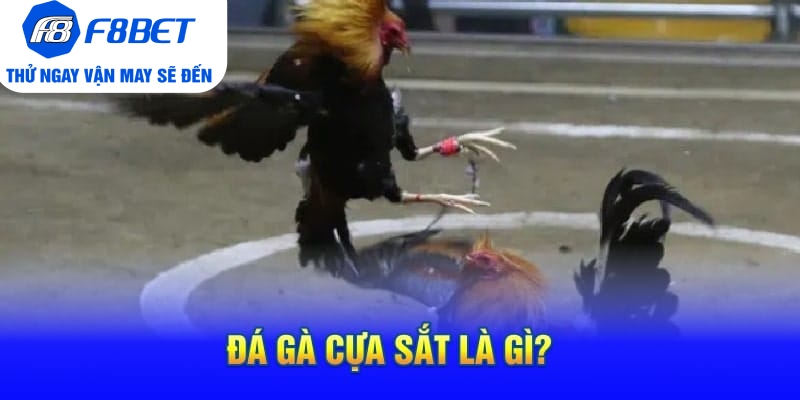 Đá Gà Cựa Sắt Là Gì? Mẹo Hay Và Hiệu Quả Khi Chơi Đá Gà - PLAYVANTA96.WORK