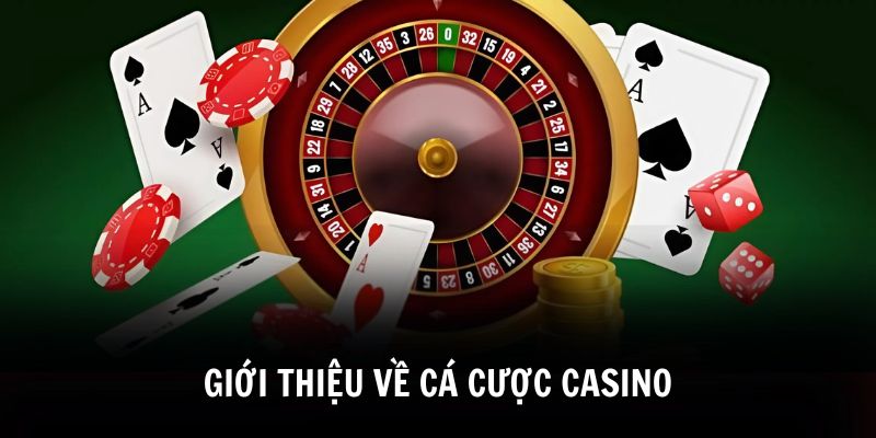 Hướng Dẫn Cá Cược Casino Chi Tiết Cho Trải Nghiệm Đỉnh Cao - PLAYVANTA96.WORK