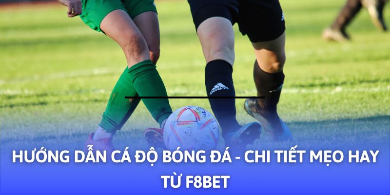 Hướng Dẫn Cá Độ Bóng Đá - 03+ Mẹo Hay Từ F8BET - PLAYVANTA96.WORK