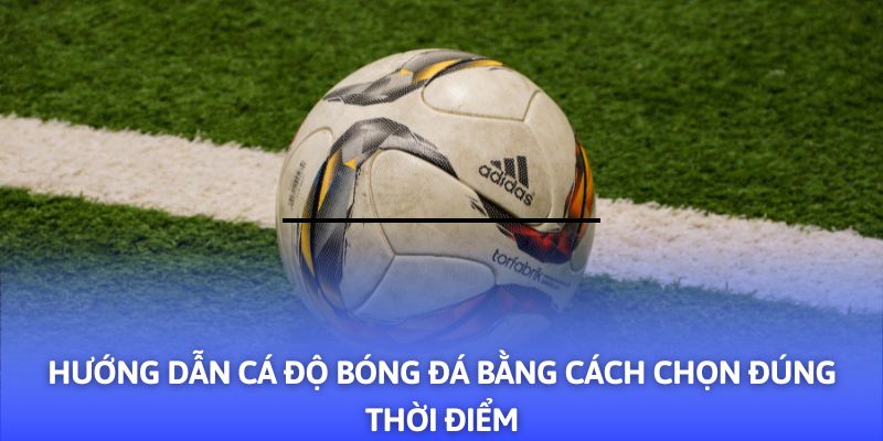 Hướng Dẫn Cá Độ Bóng Đá - 03+ Mẹo Hay Từ F8BET - PLAYVANTA96.WORK