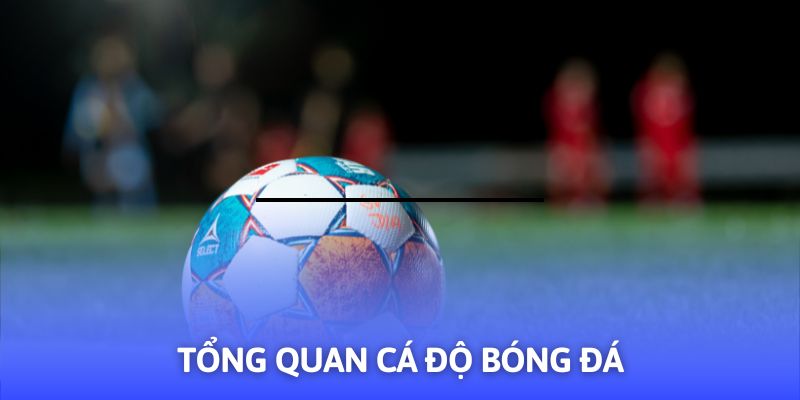 Hướng Dẫn Cá Độ Bóng Đá - 03+ Mẹo Hay Từ F8BET - PLAYVANTA96.WORK