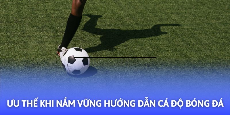 Hướng Dẫn Cá Độ Bóng Đá - 03+ Mẹo Hay Từ F8BET - PLAYVANTA96.WORK