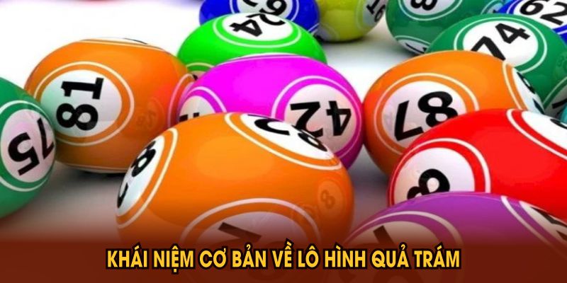 Phương Pháp Bắt Lô Hình Quả Trám Hiệu Quả Bạn Nên Biết - PLAYVANTA96.WORK