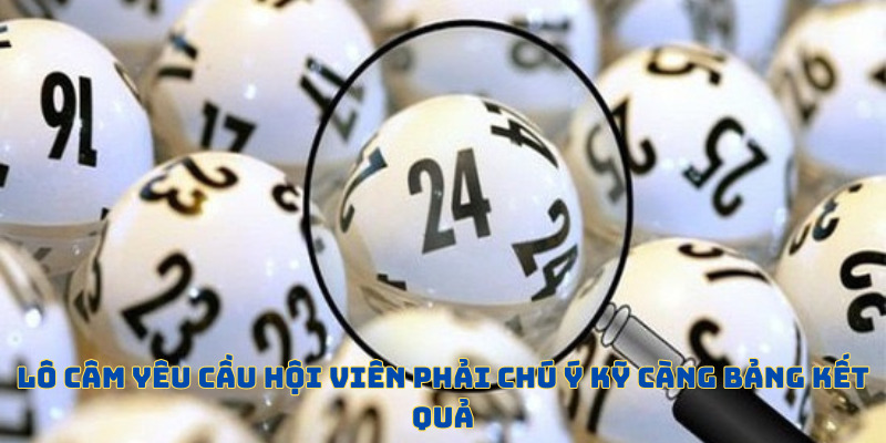 Lô Câm - Thao Tác Chơi Độc Đáo Nhất Tại F8BET Năm 2026  - PLAYVANTA96.WORK