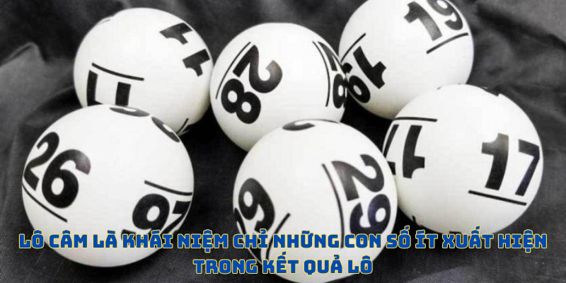 Lô Câm - Thao Tác Chơi Độc Đáo Nhất Tại F8BET Năm 2026  - PLAYVANTA96.WORK