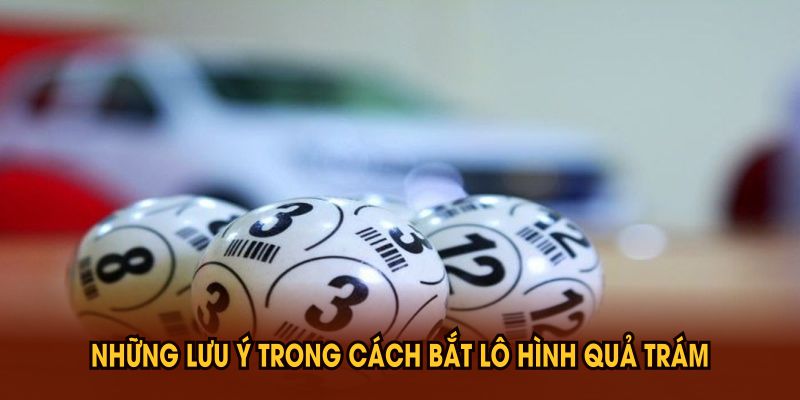 Phương Pháp Bắt Lô Hình Quả Trám Hiệu Quả Bạn Nên Biết - PLAYVANTA96.WORK