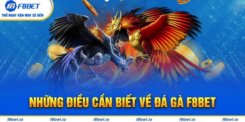 Đá Gà F8bet | Sảnh Cược Gà Đá Uy Tín Cho Các Kê Thủ - PLAYVANTA96.WORK